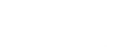 Bing